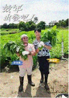 夜行歌单 音乐旅行综艺海报